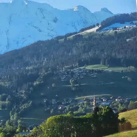 Les Praz D'arvillon Mont Blanc View Combloux
